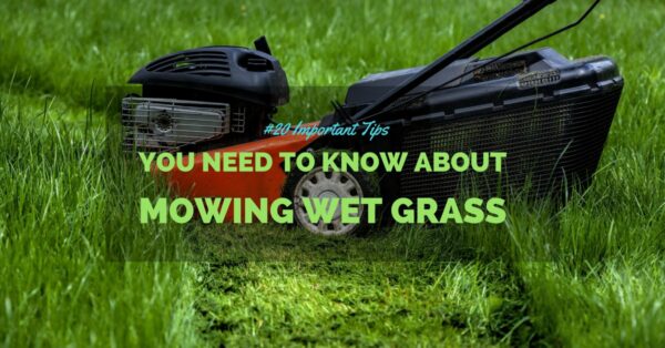 mowing wet grass