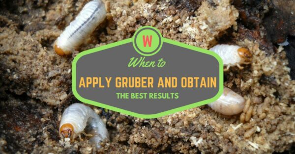 When to Apply Grubex
