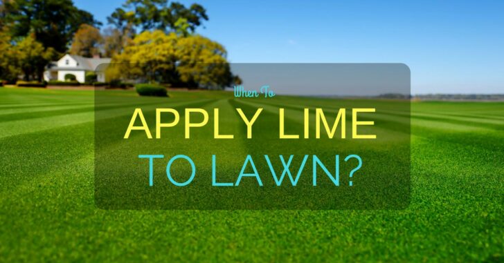 When To Apply Lime To Lawn