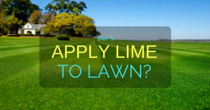 When To Apply Lime To Lawn
