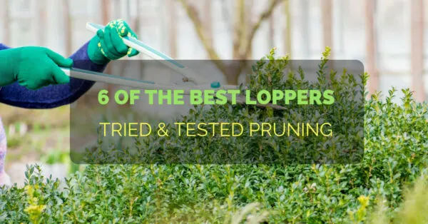 best loppers 1