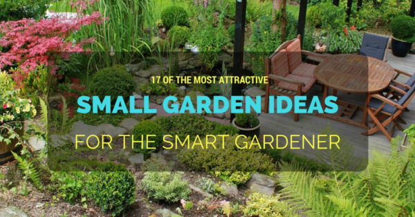 Smart Small Garden Ideas