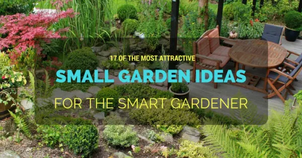 Smart Small Garden Ideas