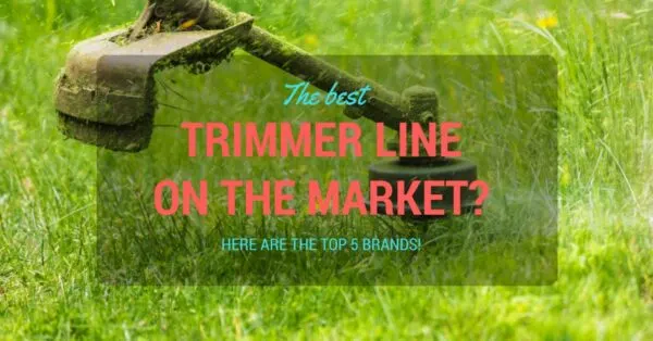 Best Trimmer Line
