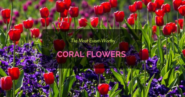 Coral Flowers
