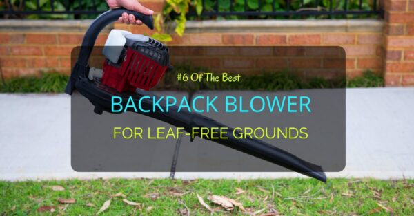 Best Backpack Blower