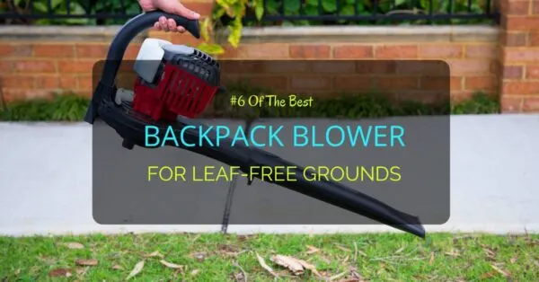 Best Backpack Blower
