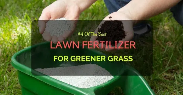 Best Lawn Fertilizer