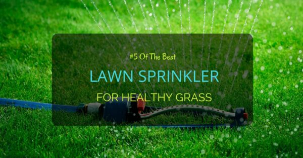 Best Lawn Sprinkler 2