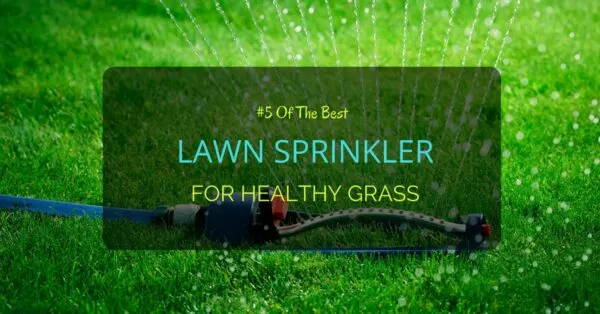 Best Lawn Sprinkler 2