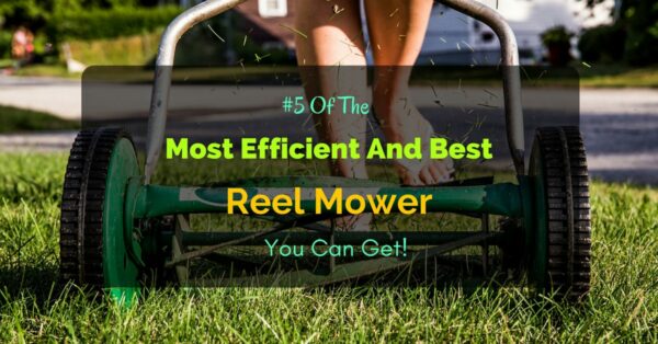 Best Reel Mower