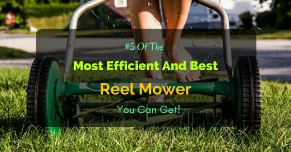 Best Reel Mower