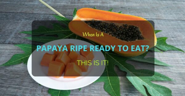 When Is A Papaya Ripe