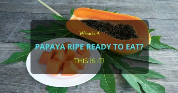 When Is A Papaya Ripe