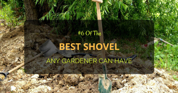 Best Shovel