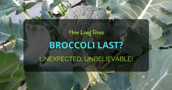 How Long Does Broccoli Last