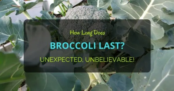 How Long Does Broccoli Last
