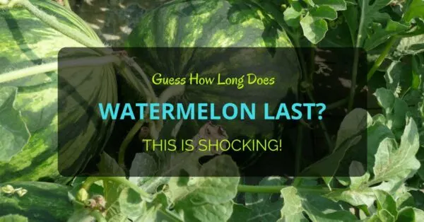 How Long Does Watermelon Last