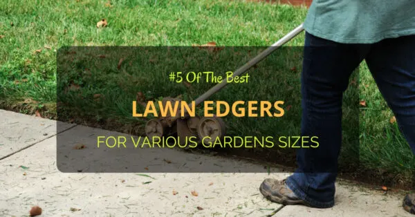 Best Lawn Edgers