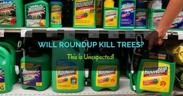 Will Roundup Kill Trees