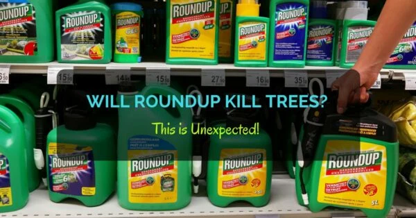 Will Roundup Kill Trees