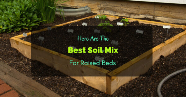 Best Soil Mix For Raised Beds