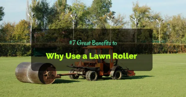 Why Use a Lawn Roller
