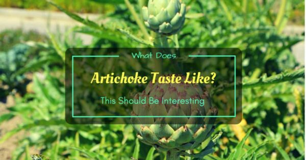 What Does Artichoke Taste Like