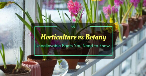 Horticulture vs Botany
