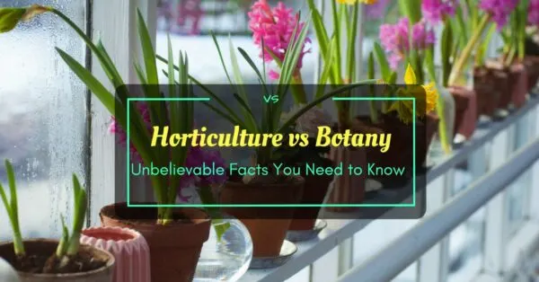 Horticulture vs Botany