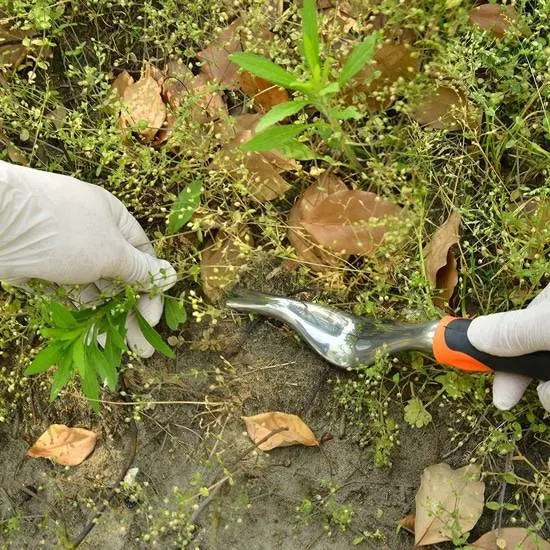 GladiatorWeeder Weed and Root Remover Best Weed Pullers 2