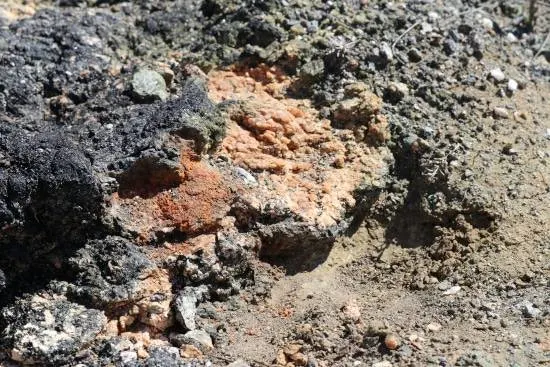 How To Remove Rocks From Soil