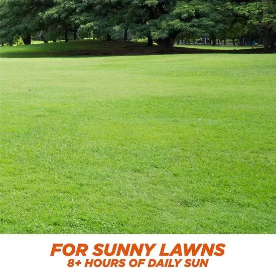 Pennington One Step 10 lb Complete Bermuda Grass Seed Best Bermuda grass seed 2