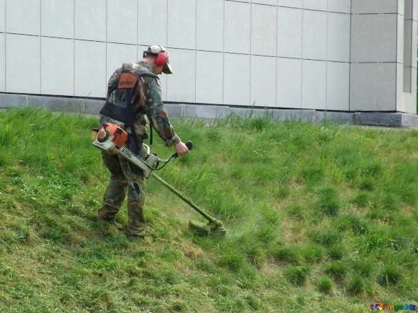 Best Headphones For Mowing