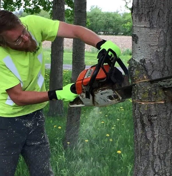 Superiors Endura Hi Viz Cut Resistant 385CS XL Chainsaw Gloves Best Chainsaw Gloves 2