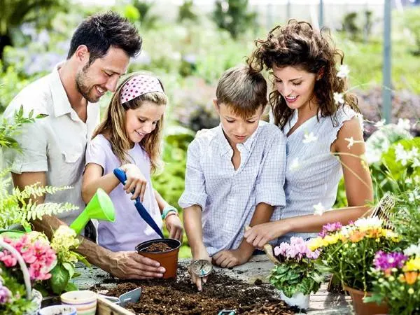 Smart Choice 127mm Stem Stainless Steel Easy to Read Soil Thermometer Best Soil Thermometer 2