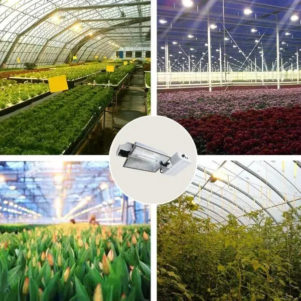 MIXJOY 1000W 120 240V Double Ended HPS Grow Light Best HPS Grow Lights On The Market 2