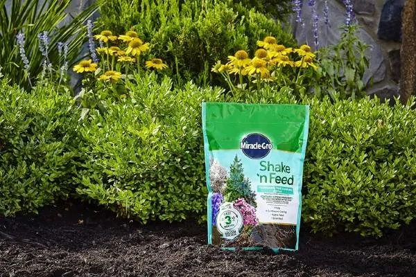 Miracle Gro Shake N Feed Shrubs and Flowering Trees Evergreen Fertilizer Best Evergreen Fertilizer 2