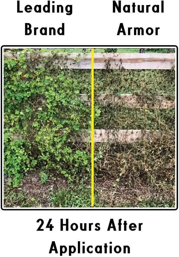 Natural Armor All Natural Concentrated Formula Weed and Grass Killer Best Weed And Grass Killer For Fence Lines 2