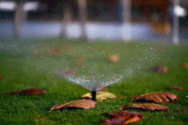Sprinkler in center of a garden. Best Way to Water Grass Without a Sprinkler System