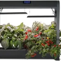 AeroGarden w Salad Bar Farm 24Plus Best Aerogarden for Lettuce product