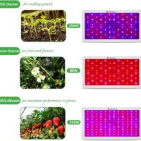 EXLENVCE Full Spectrum 1500W 1200W Grow Light for 3x3 Tent Best Grow Light For 3x3 Tent 2
