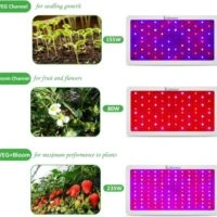 EXLENVCE Full Spectrum 1500W 1200W Grow Light for 3x3 Tent Best Grow Light For 3x3 Tent 2