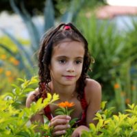 Easy Ways To Improve Your Garden Photography 1