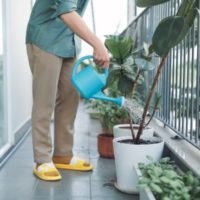 How To Water Plants On A Balcony 2