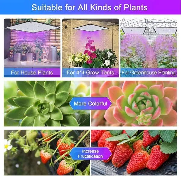 Uallhome Full Spectrum 200W LED light for 4x4 Grow Tent Best Led Light For 4x4 Grow Tent 2