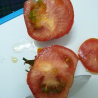 Why Are Tomato Seeds Green 1