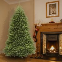 Why Doesnt My Christmas Tree Smell