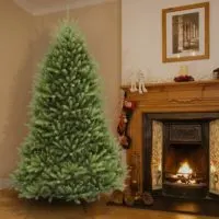Why Doesnt My Christmas Tree Smell