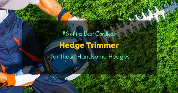 Best Hedge Trimmer
